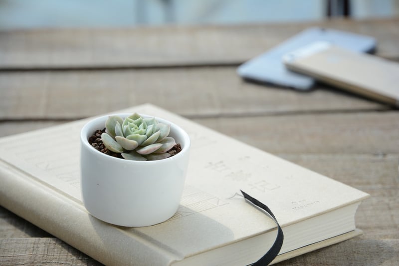 Hand-stamped planters